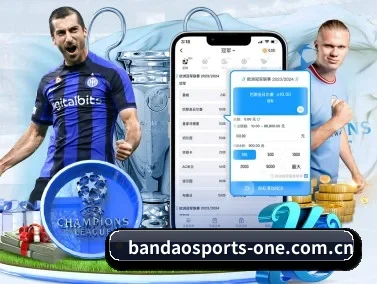 半岛体育网站 APP - BandaoSports
