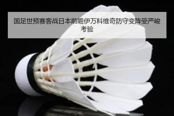 国足世预赛客战日本前瞻伊万科维奇防守变阵受严峻考验 - BandaoSports